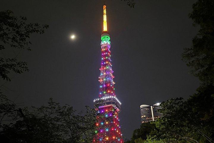 東京ハイライト英語ガイド付きプライベートツアー（車付き）