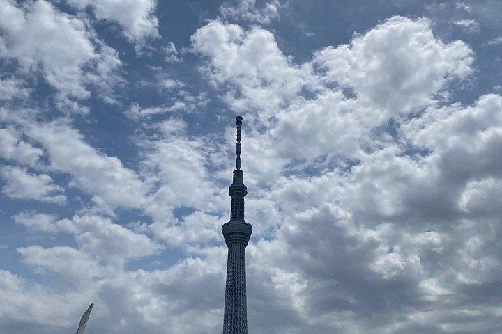 東京ハイライト英語ガイド付きプライベートツアー（車付き）