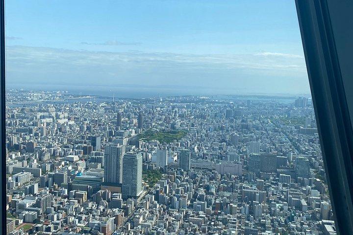 東京ハイライト英語ガイド付きプライベートツアー（車付き）