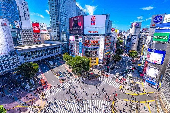 東京ハイライト英語ガイド付きプライベートツアー（車付き）