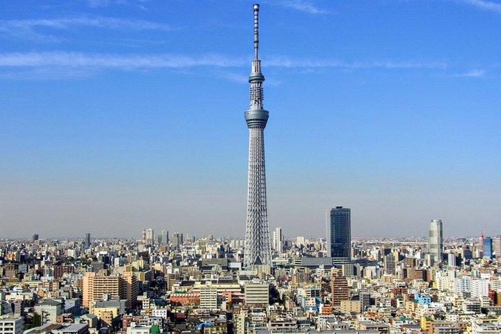東京ハイライト英語ガイド付きプライベートツアー（車付き）