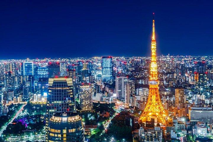 Tokyo Highlights Privat tur (inkl. bil) med engelsk guide