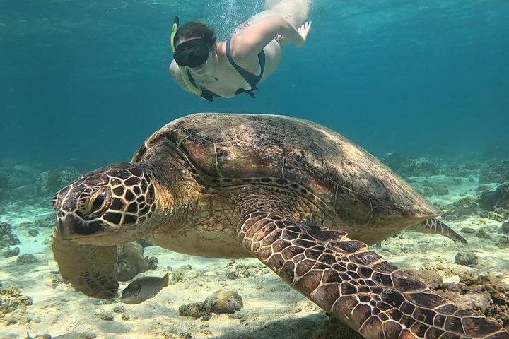 Tour privato di snorkeling di 3 isole Gili da Lombok