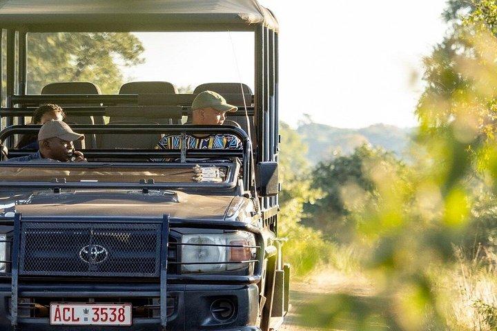 Morgens oder nachmittags Pirschfahrt in Victoria Falls, Simbabwe