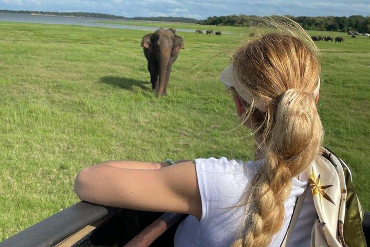 Kaudulla National Park Private Safari