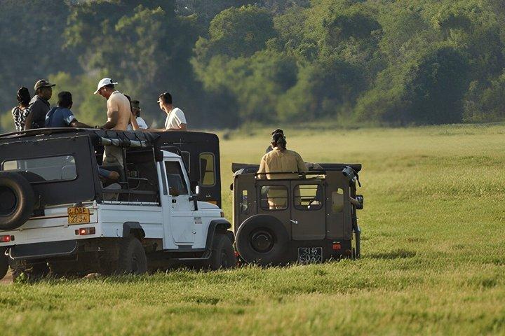 Kaudulla National Park Private Safari
