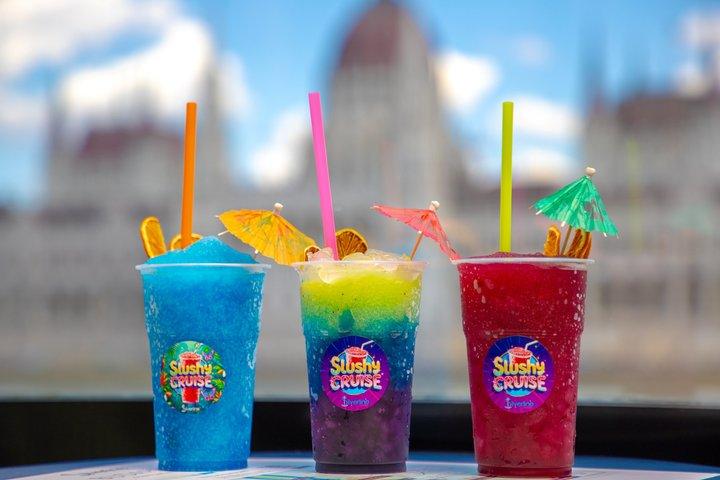 Budapeste 1 - Hour Danube Sightseeing Cruise com Slushy ilimitado