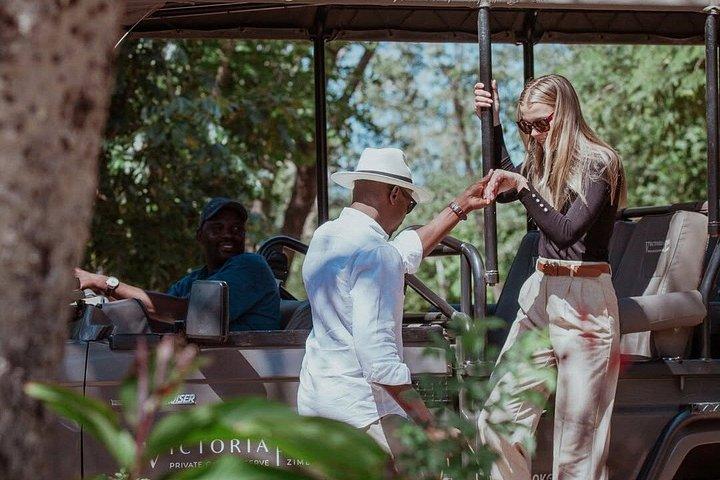 Morgens oder nachmittags Pirschfahrt in Victoria Falls, Simbabwe