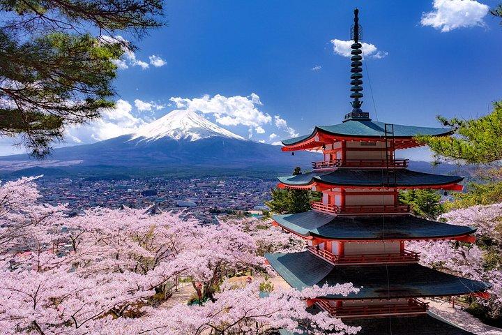 富士山と河口湖プライベート全日ツアー
