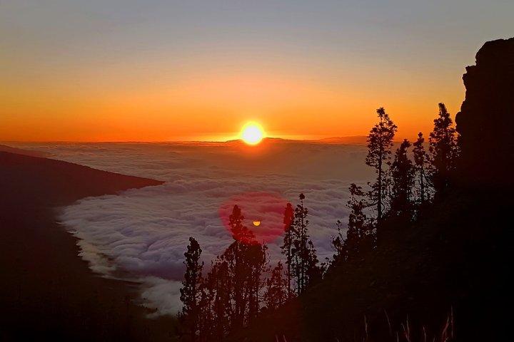 プレミアムツアー：テイデ山、マスカ、ガラチコ観光、夕日とカバ付き