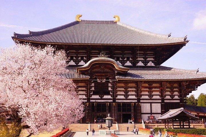 京都・奈良プライベート日帰りツアー