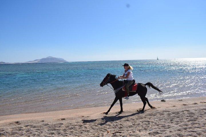 Hurghada : Reiten 2 Stunden Meer & Wüste mit Transfer