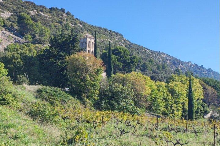 Paseo guiado en grupo reducido por Vaucluse.