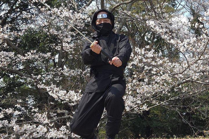 Ninja Explores Old Samurai Residences in Sakura