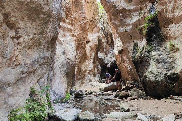 Paphos Turtle Station Privétour per 4x4 jeep
