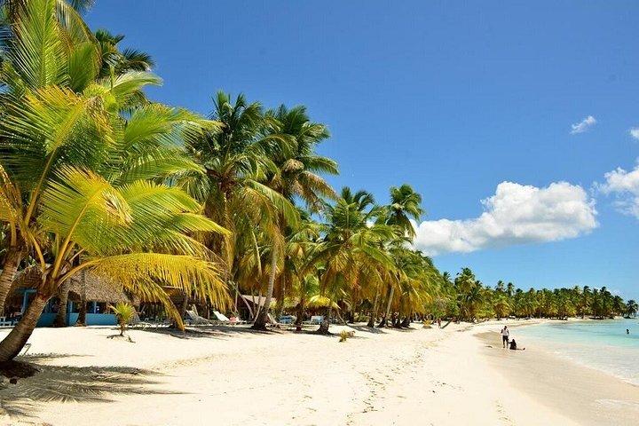 4 pristine beaches of saona island