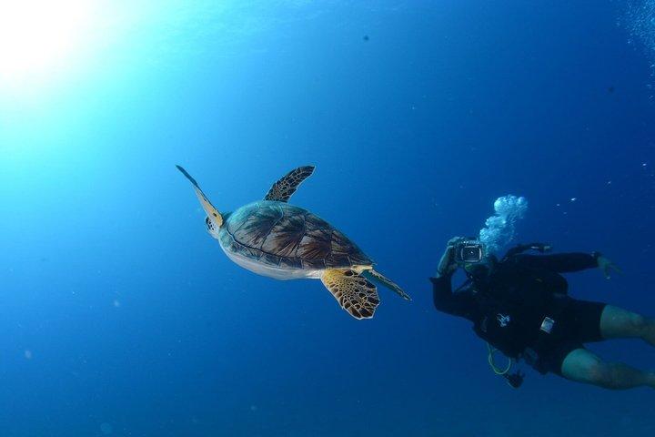 Scuba Diving from Bodrum