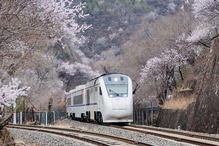 Travel to Beijing Badaling Great Wall by Bullet Train