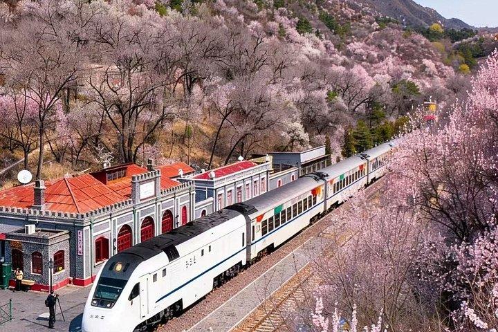 新幹線で北京八達嶺長城へ