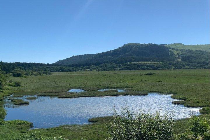 Visita guiada a Kirigamine em Nagano: Walk & Lunch