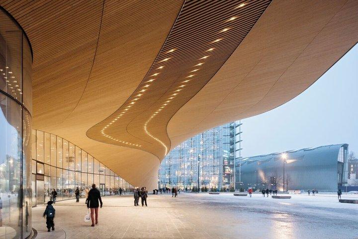 Visite guidée VIP privée de la ville d'Helsinki (collations et eau incl.)