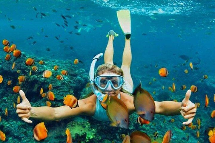 チャム島ツアーダナンまたはホイアン発シュノーケリングまたはダイビング