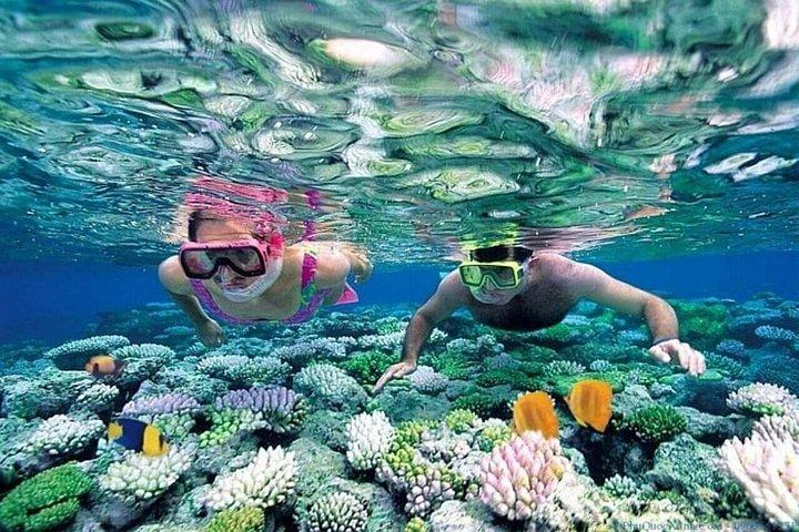 チャム島ツアーダナンまたはホイアン発シュノーケリングまたはダイビング
