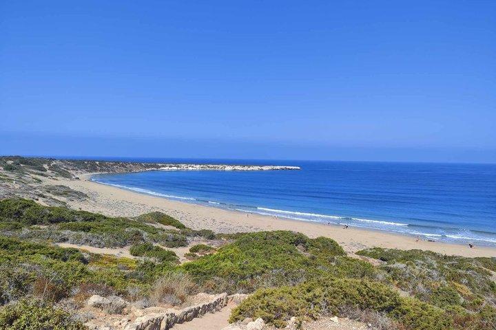 Paphos Turtle Station Private Tour by 4x4 Jeep