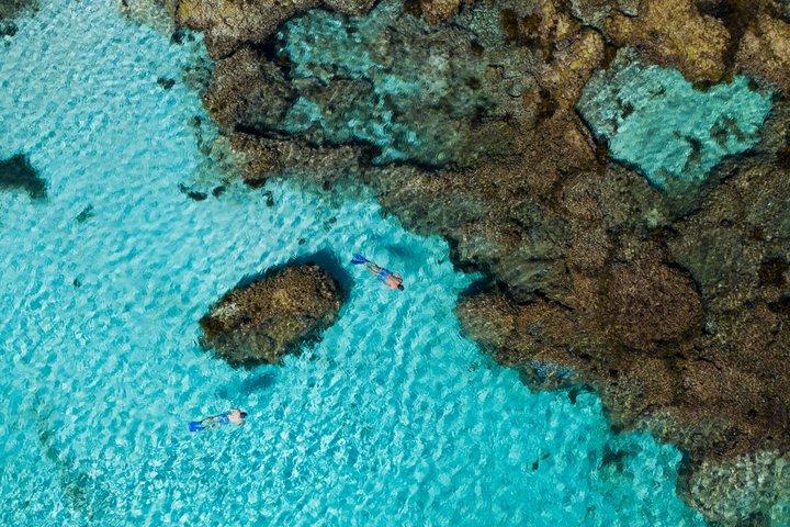 Tour privato di lusso all-inclusive di Rottnest Island da Perth