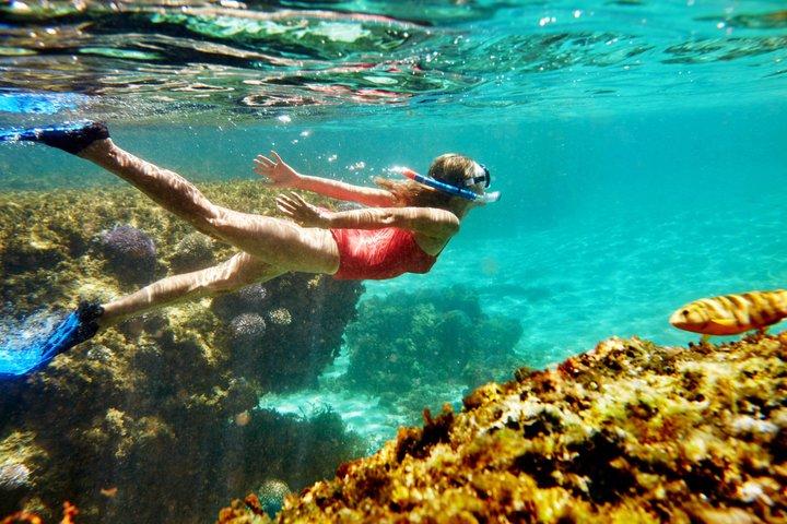 Tour privato di lusso all-inclusive di Rottnest Island da Perth