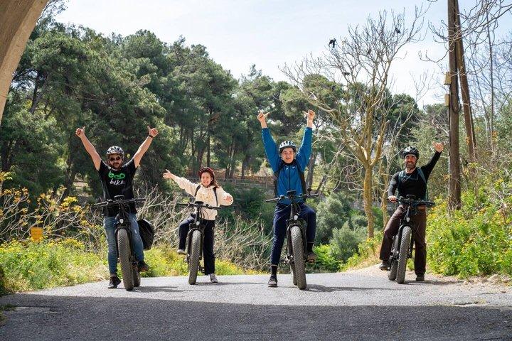 Eバイクツアー-クノッソスオリーブオイルファームからワイナリーワインテイスティング