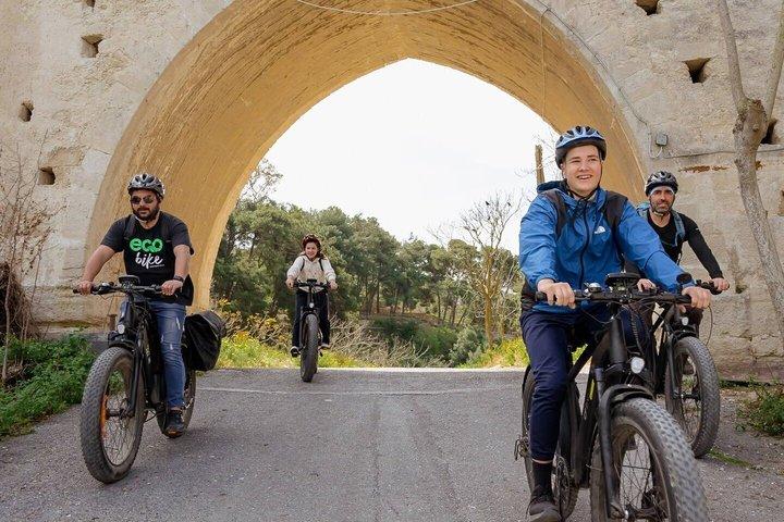 Eバイクツアー-クノッソスオリーブオイルファームからワイナリーワインテイスティング