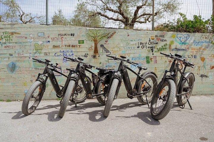 Eバイクツアー-クノッソスオリーブオイルファームからワイナリーワインテイスティング