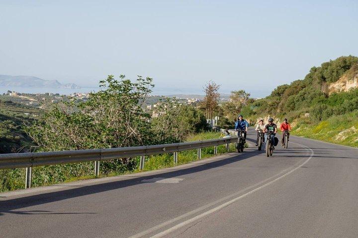 Eバイクツアー-クノッソスオリーブオイルファームからワイナリーワインテイスティング