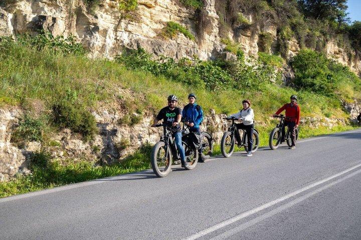 Eバイクツアー-クノッソスオリーブオイルファームからワイナリーワインテイスティング