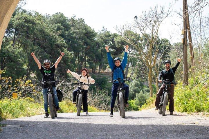 Eバイクツアー-クノッソスオリーブオイルファームからワイナリーワインテイスティング