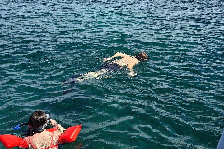 Reef snorkeling & eco park adventure