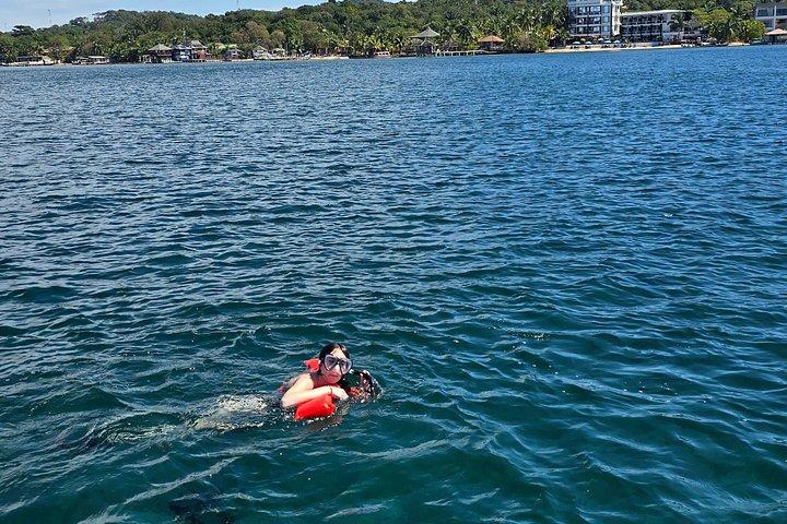 Reef snorkeling & eco park adventure