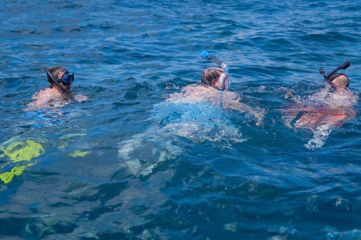 Reef snorkeling & eco park adventure