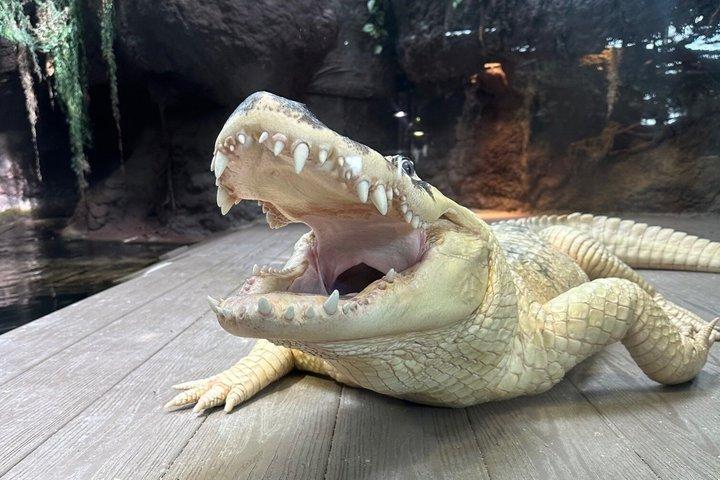 Audubon Zoo, Aquarium, and Insectarium Combo Ticket
