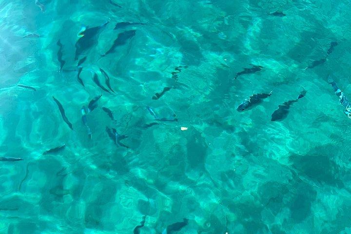 Explore Croatias Hidden Gem Custom Boat Tours