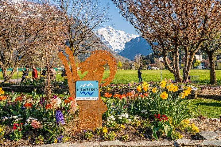 Privé dagtocht naar Interlaken, Grindelwald & Lauterbrunnen