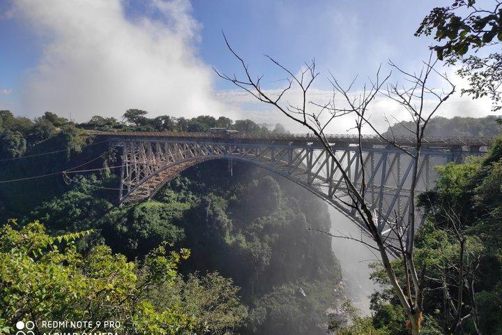 Tour guidato a piedi del Victoria Falls Bridge e Bush Walk
