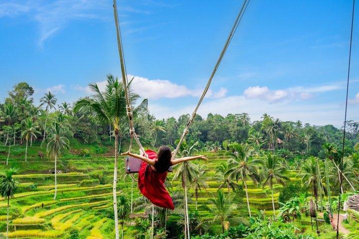 Tour privado con todo incluido de Ubud y Bali Swing