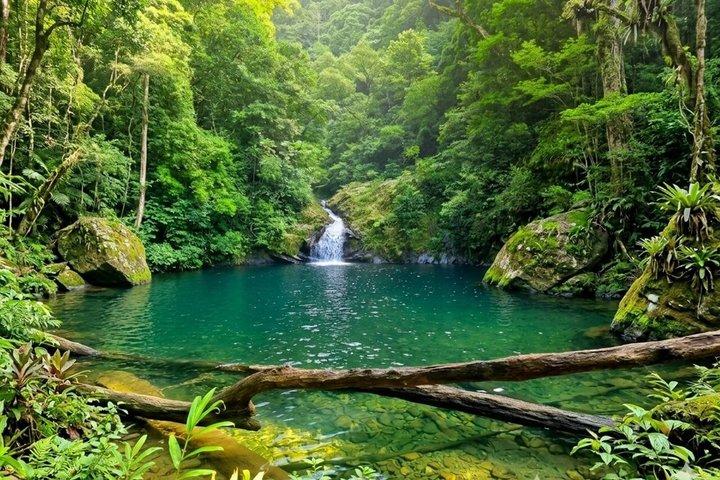 São Paulo Waterfalls Walk Beach View e Chairlift Tour