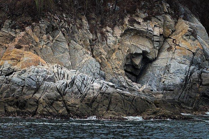 ワタルコ湾の終日ツアー