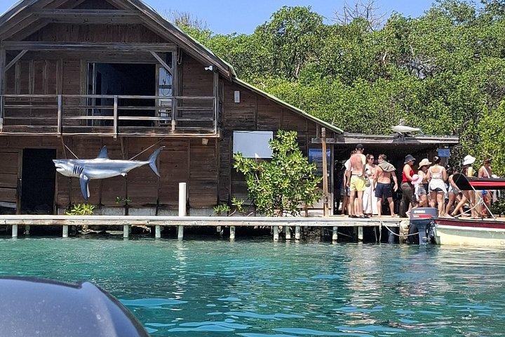 ロサリオ島と生物発光プランクトンのあるバルーホワイトビーチ
