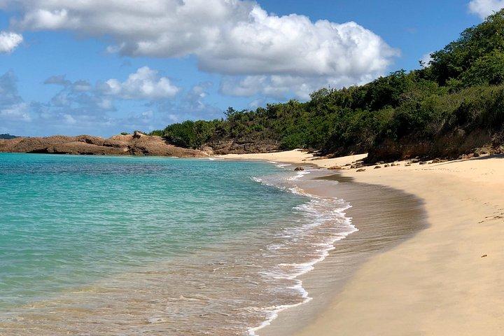 Secret Beach Escape in Antigua: Half-Day Experience