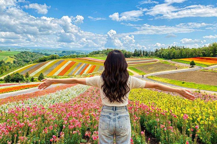 札幌からの美瑛の季節のハイライト日帰り旅行