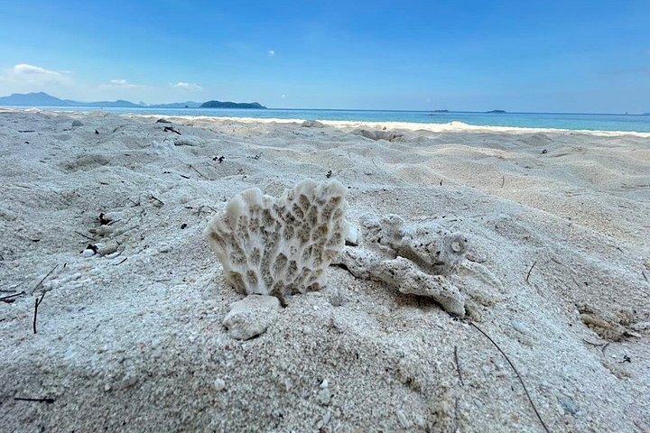 サムイ島発サンセットディナー付き半日ピッグ島シュノーケリングツアー